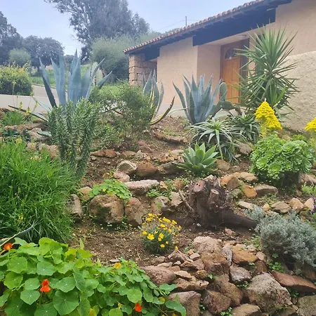 Villa Rare Magnifique Vue Piscine Chauffee & Maquis Serra-di-Ferro (Corsica)