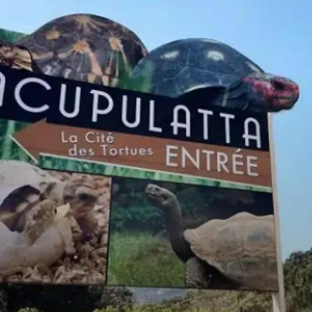 Rare Magnifique Vue Piscine Chauffee & Maquis