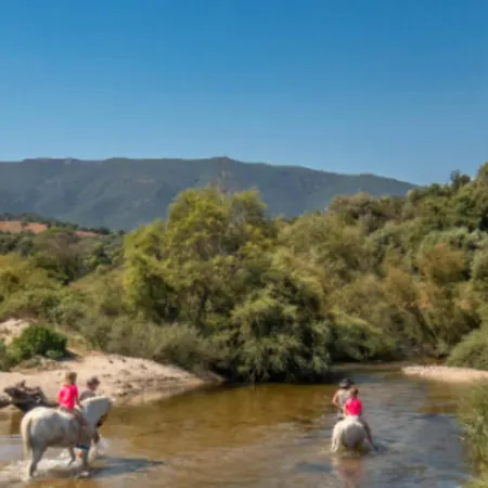 Rare Magnifique Vue Piscine Chauffee & Maquis Serra-di-Ferro (Corsica)