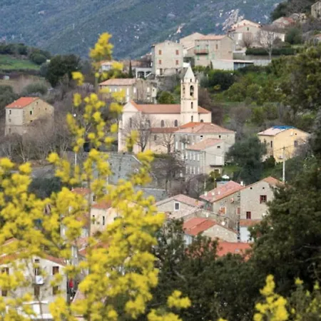 Rare Magnifique Vue Piscine Chauffee & Maquis *