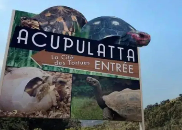 Rare Magnifique Vue Piscine Chauffee & Maquis