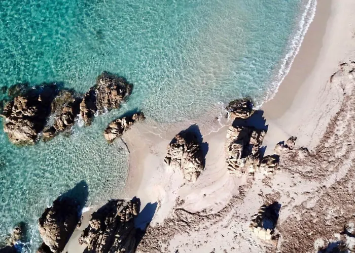 Rare Magnifique Vue Piscine Chauffee & Maquis * Serra-di-Ferro (Corsica)