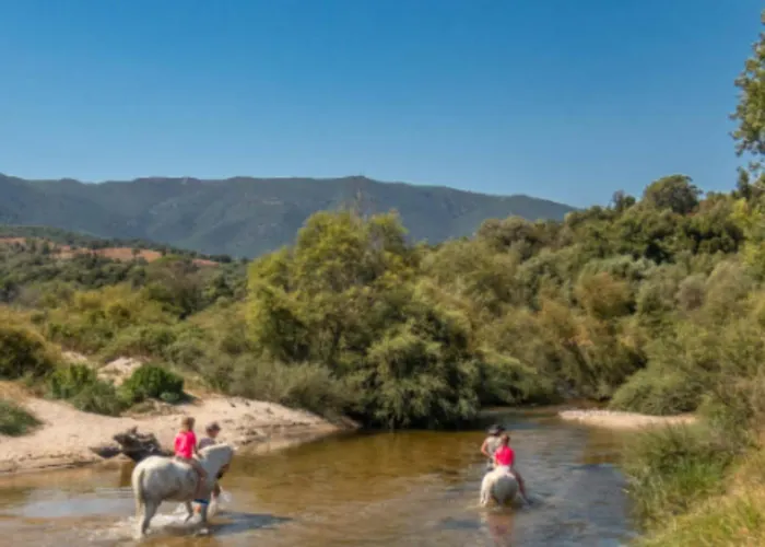 Rare Magnifique Vue Piscine Chauffee & Maquis Serra-di-Ferro (Corsica)