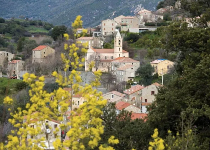 Rare Magnifique Vue Piscine Chauffee & Maquis *
