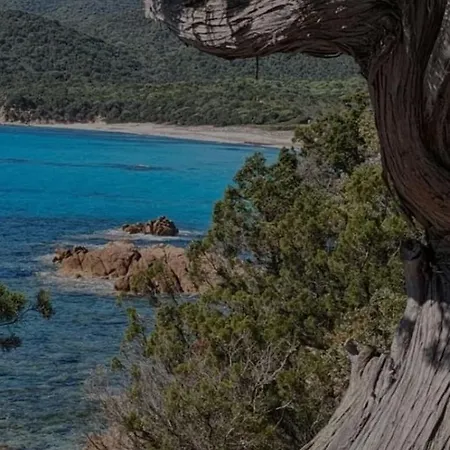 Rare Magnifique Vue Piscine Chauffee & Maquis