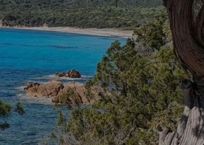 Rare Magnifique Vue Piscine Chauffee & Maquis