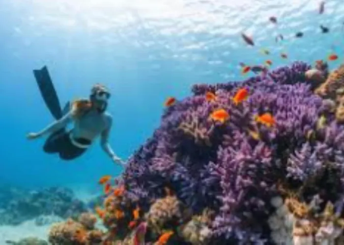 Rare Magnifique Vue Piscine Chauffee & Maquis 赛拉蒂费罗